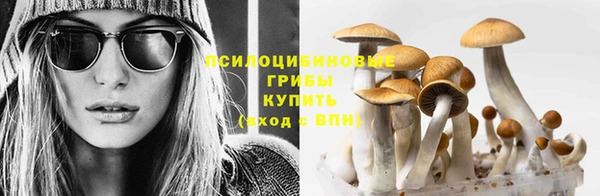 дживик Абаза