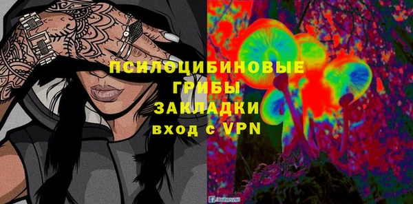 apvp Алексин
