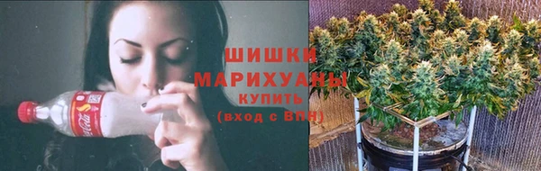 дживик Абаза